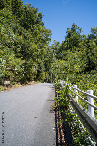 Canvas Print A tranquil view of a Japanese countryside road running through lush green forest and hills under a clear blue sky in summer