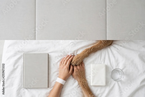 Elegant Hands Resting on Luxurious Brown Fur Textile