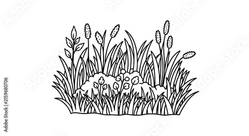 Bild auf Leinwand Black and white illustration of cattails and flowers.
