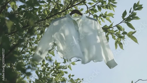 White shirt hanging on tree branch in gentle breeze