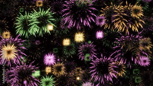 Colorful fireworks explode against a dark night sky.
