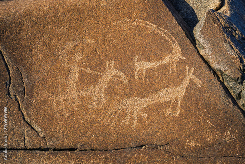 Closeup view of ancient petroglyphs of hunting scene on rock on historic silk road in Indus river valley, Chilas, Gilgit Baltistan, Pakistan