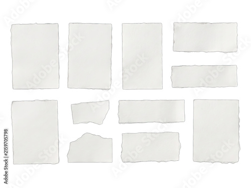 Torn paper scraps arranged in a grid pattern with soft studio lighting isolated on a transparent background