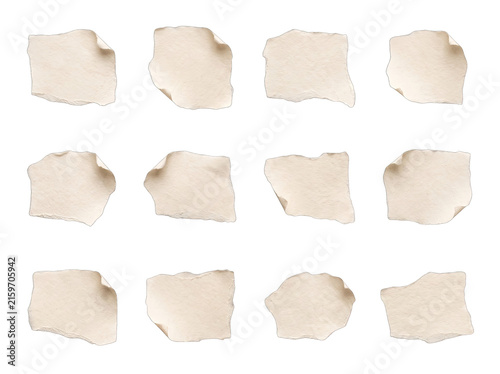 Torn paper scraps arranged in a grid with soft studio lighting isolated on transparent background