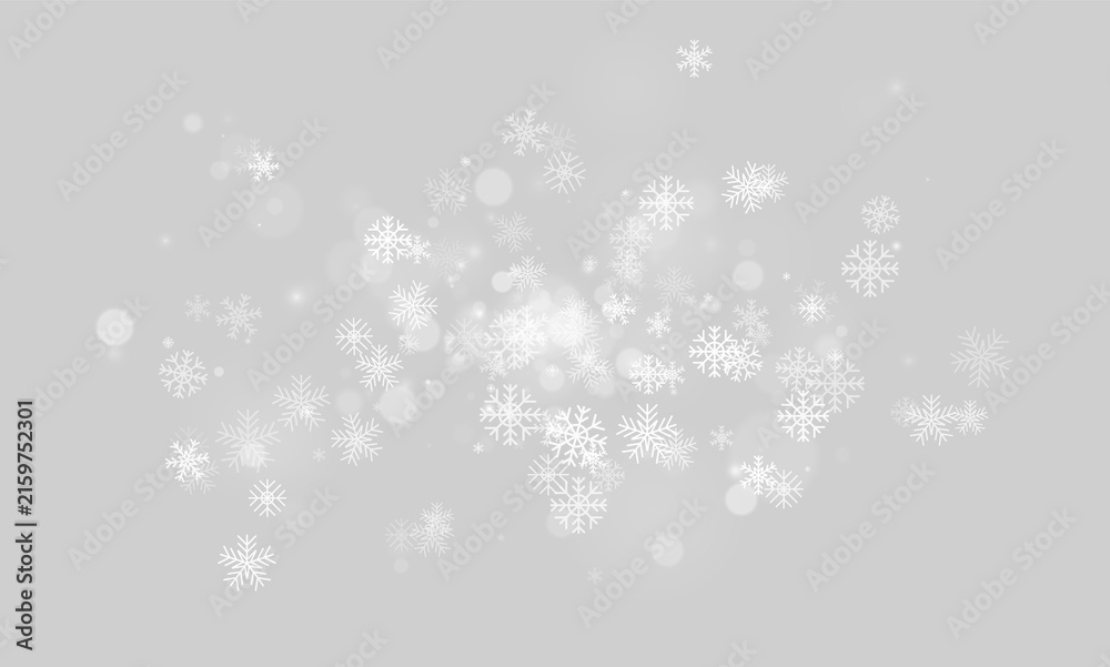 Fototapeta premium Scattered white snowflakes and soft bokeh lights glowing on a black background on transparent background