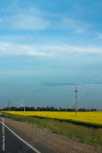 Country road through the fields with green grass and blue sky background.