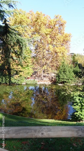 Vertical video of a beautiful view of pond reflecting fall colors surrounded by golden trees and evergreens in autumn. El Retiro Park in Madrid city, Spain
