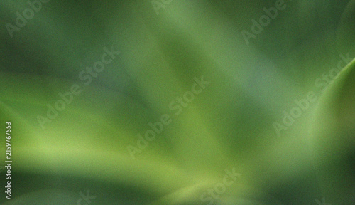 Soft blurred green leaf background with natural foliage texture and fresh botanical atmosphere