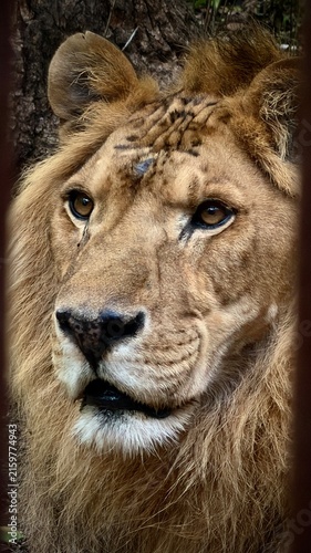 Фотография Safari Park Vladivostok
