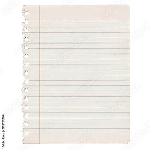 Blank lined notebook paper with ragged punched holes on the left side, ideal for school supplies, office notes, or writing concepts.