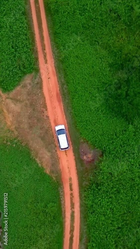 The white car speeds along the winding dirt road, hugging the lush coastline. Aerial view reveals the car navigating through dense greenery, with waves crashing nearby.