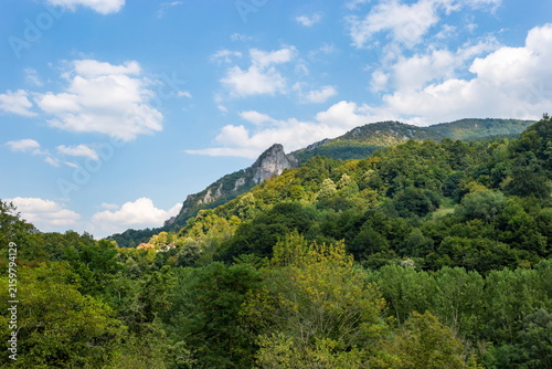 Forest Covered Mountains and Steep Rocky Cliffs under Blue Sky on Sunny Summer Day