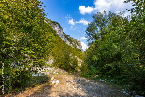 Mountain Road Surrounded by Green Trees and Rocky Cliffs at Summer Evening
