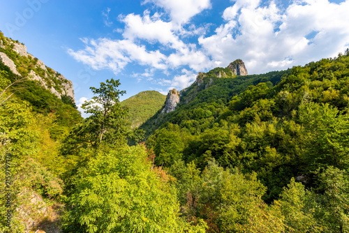 Forest Covered Mountains and Steep Rocky Cliffs under Blue Sky on Sunny Summer Day