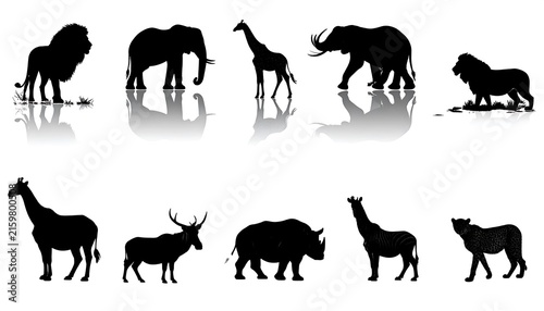 Black horse silhouettes in various poses.