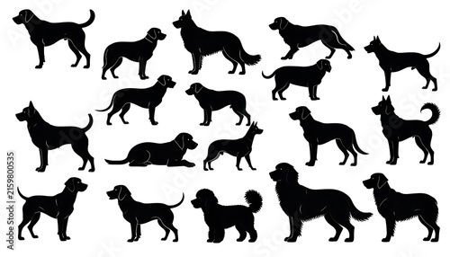 Black silhouette herd of running horses dynamic motion.