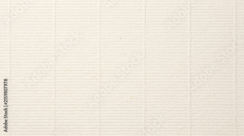 Off-White Laid Paper Texture with Fine Ribbed Stripes and Natural Fibers