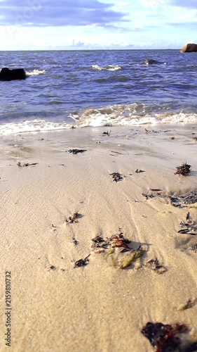 Sandy shoreline with seaweed scattering the coast as gentle ocean waves wash ashore under a cloudy sky. A peaceful and relaxing natural scene showcasing the beauty of a serene coastal environment