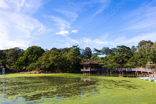 奈良公園
