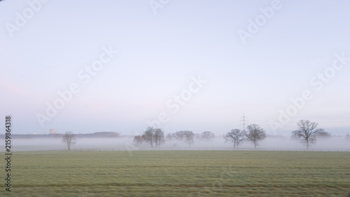 Nebel