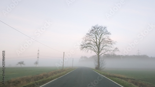 Nebel