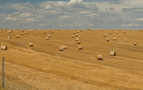 bales of hay