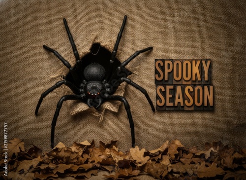 Large black spider with spooky season text on a dark background with autumn leaves