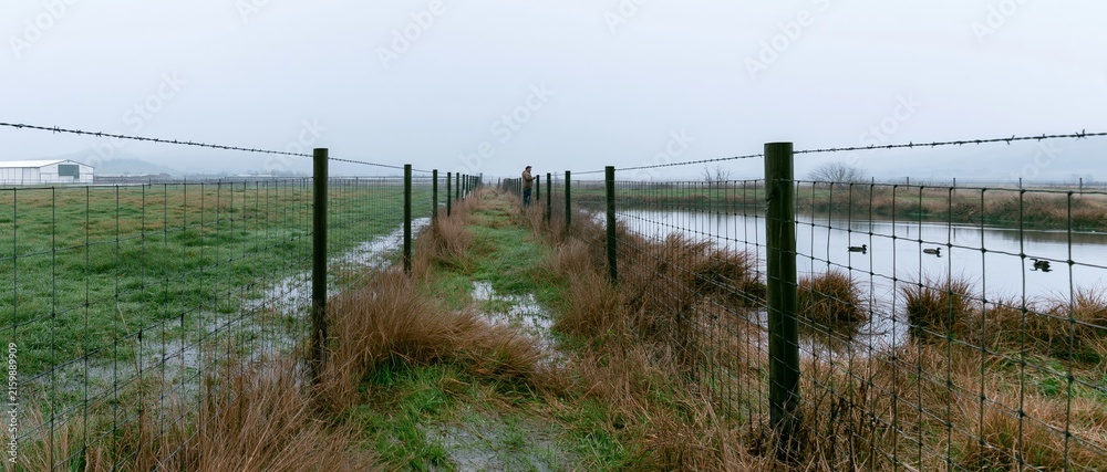 Obraz premium Rural fence dividing wetland and pasture