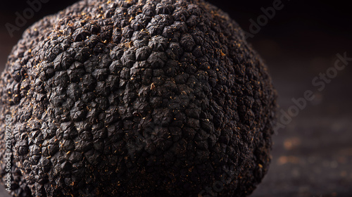 Wild Native Delicacy | Freshly Dug Black Truffle Close-up