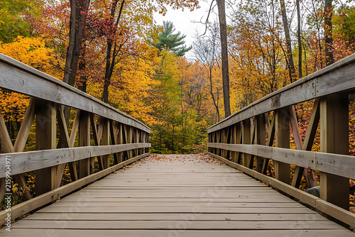 Wooden bridge surrounded by colorful autumn leaves in forest.