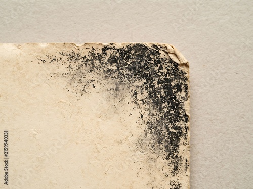 Close Up View Of Mold Growth On Painted Wall Surface