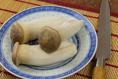 Pleurotes du panicaut cru dans une assiette, 