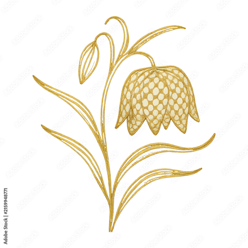 Naklejka premium PNG Elegant gold floral illustration