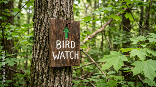 Wooden Bird Watch sign on tree in lush green forest, nature trail pointer