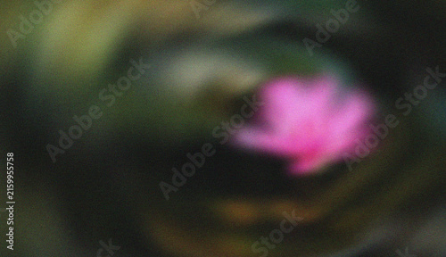 Soft Pink Flower Surrounded by Dark Green Foliage in Dreamy Artistic Blur