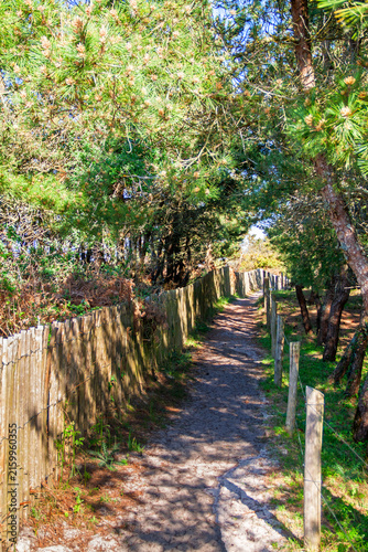 Chemin de randonnées à la pointe de Mousterlin. Finistère