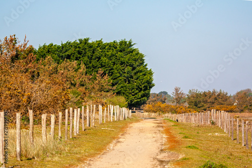Chemin de randonnées à la pointe de Mousterlin. Finistère