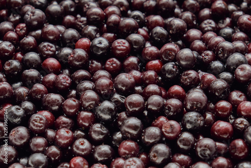 Aronia Berries / Black Chokeberries Texture Closeup