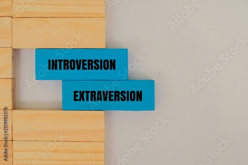 Cuadro en lienzo A coloured blocks with INTROVERSION, EXTRAVERSION text