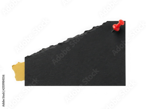 Black cat with orange tail and pointed ears isolated on transparent background