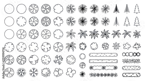 Landscape architecture plan view tree and plant symbols.