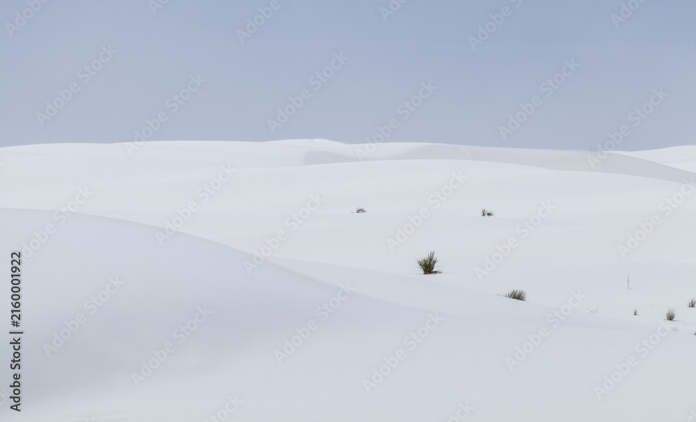 Fototapeta premium White and dunes 6