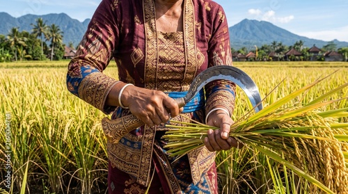 Balinese woman in traditional kebaya harvesting ripe golden rice stalks with a sickle in a scenic paddy field for food production.