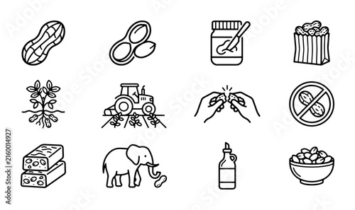 Peanut icons for agriculture, food processing, and healthy snack UI and web interface