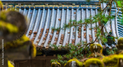 Canvastavla At Toshogu shrine, Nikko (Tochigi Prefecture, Kansai region, Honshu, Japan)