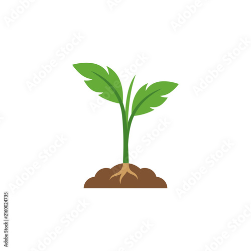 Isolated green seedling growing from brown soil mound