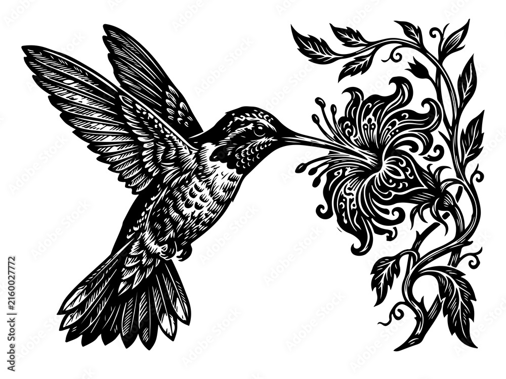 Fototapeta premium Hummingbird and floral branch engraving style illustration with a white background