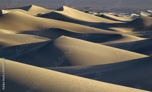 View of Mesquite Flat Sand Dunes with sweeping curves, soft shadows, and golden light in Death Valley, California, United States.