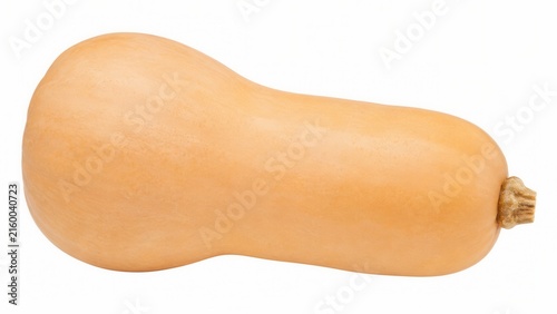 Fresh butternut squash isolated on white background for healthy cooking organic harvest and seasonal food concept