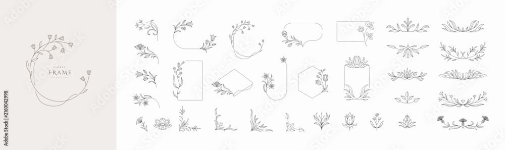 Fototapeta premium Set of calligraphic floral frames and branches. Constructor of floral decoration. Delicate botanical branch in arcs form with flowers and leaves, intricate hand drawn details